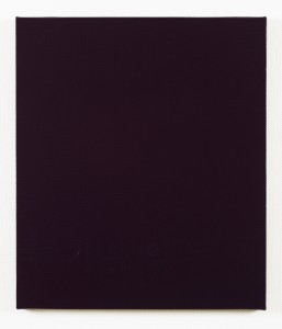 CAA_1212, 2012, Acrylic on Canvas, 53x45.4cm.