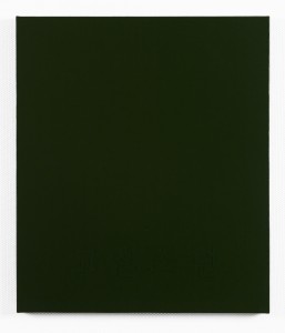 CAA_1312, 2012, Acrylic on Canvas, 53x45.4cm.