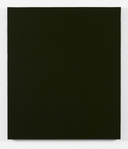 CAA_2212, 2012, Acrylic on Canvas, 53x45.4cm.